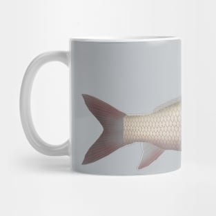 River Carpsucker Mug